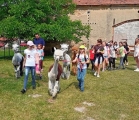 IMG20230607152616