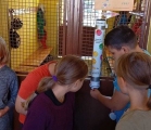 IMG-20230929-WA0005