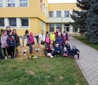 IMG20250329084621