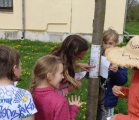 IMG_20250416_103544