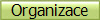 Organizace
